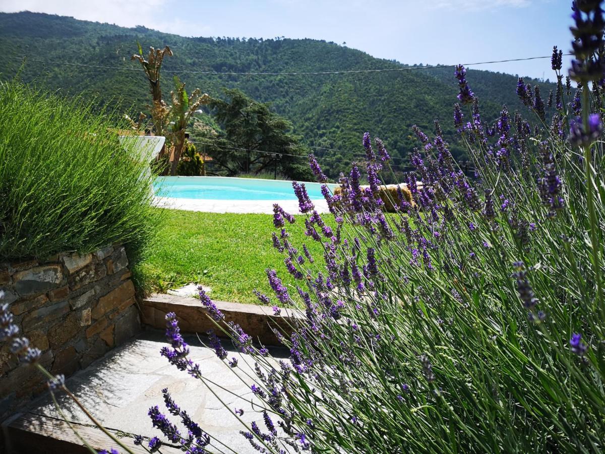 Agriturismo Ca Due Nonu Vallebona Kültér fotó